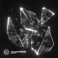The Narcissus, MAYOT - Говорит люблю
