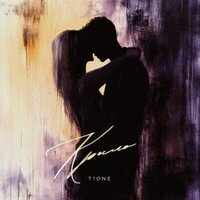 T1One - Крыло