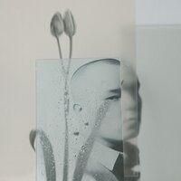 Dose - Привычка