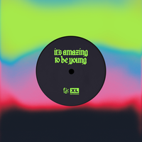 Fontaines D.C. - It's Amazing To Be Young