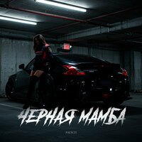 PALYCH - Черная мамба