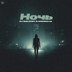 DJ Solovey, Anamal1a - Ночь