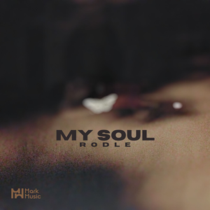 Rodle - My Soul
