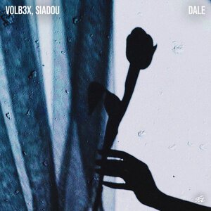 VOLB3X & Siadou - Dale (Original mix)