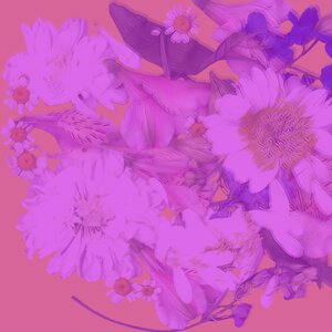 A'Studio - Красивые слова