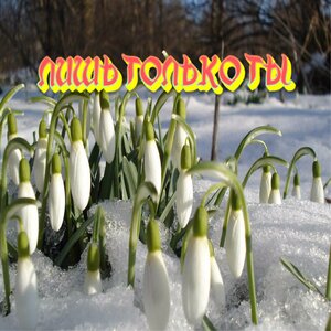 Сергей Грищук - Лишь только ты