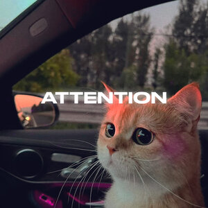 Rendow & ISVNBITOV - Attention