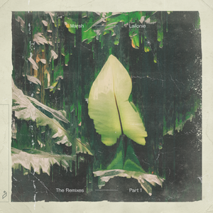 Marsh, Phenoir & Mariel Beausejour - Don't wait (Frost remix)